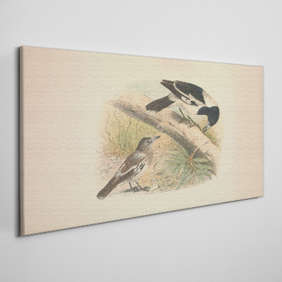 Foto op canvas Vogels op een tak
