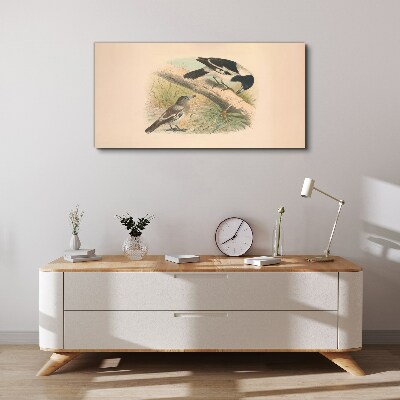 Foto op canvas Vogels op een tak