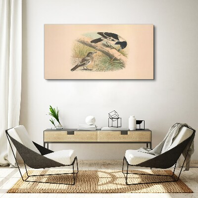 Foto op canvas Vogels op een tak