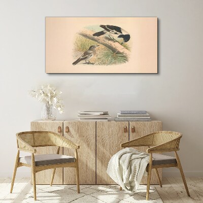 Foto op canvas Vogels op een tak