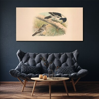Foto op canvas Vogels op een tak