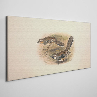 Schilderij op doek Vogels in een kwetsbare omgeving