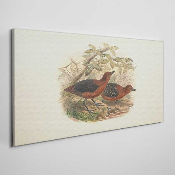 Schilderij op doek Vogels in hun natuurlijke habitat
