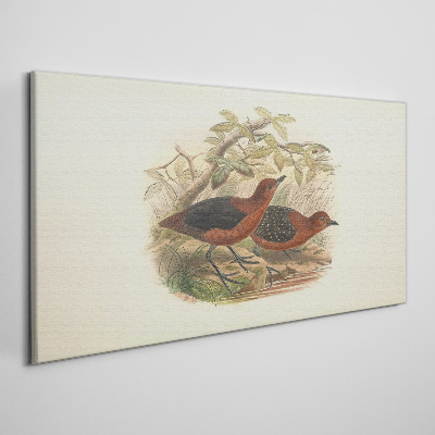 Schilderij op doek Vogels in hun natuurlijke habitat