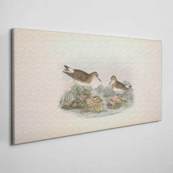 Foto op canvas Vogels bij de vijver in pastelkleuren