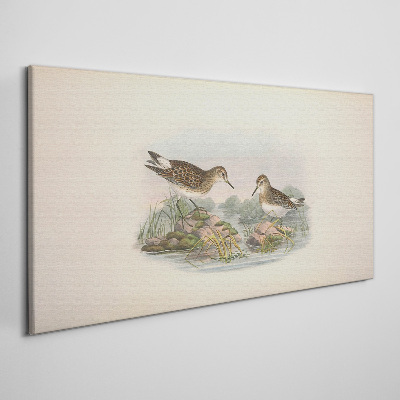 Foto op canvas Vogels bij de vijver in pastelkleuren