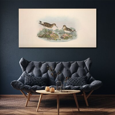 Foto op canvas Vogels bij de vijver in pastelkleuren