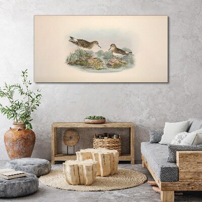 Foto op canvas Vogels bij de vijver in pastelkleuren