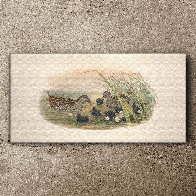 Canvas schilderij Eendenfamilies in een waterrijke omgeving