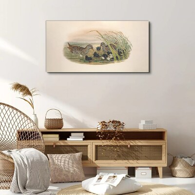 Canvas schilderij Eendenfamilies in een waterrijke omgeving