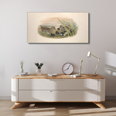 Canvas schilderij Eendenfamilies in een waterrijke omgeving