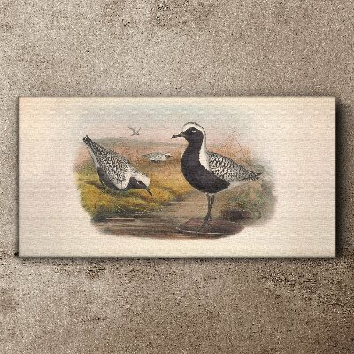 Foto op canvas Vogels in hun natuurlijke habitat