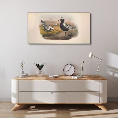 Foto op canvas Vogels in hun natuurlijke habitat