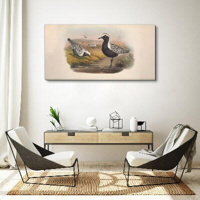 Foto op canvas Vogels in hun natuurlijke habitat