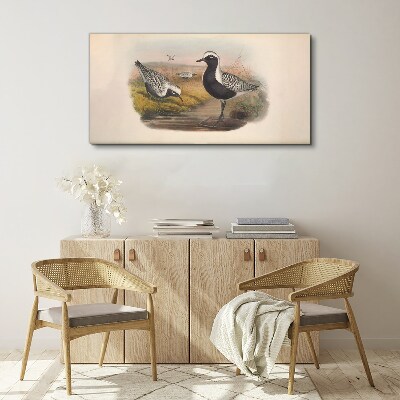 Foto op canvas Vogels in hun natuurlijke habitat