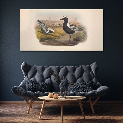 Foto op canvas Vogels in hun natuurlijke habitat