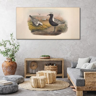Foto op canvas Vogels in hun natuurlijke habitat