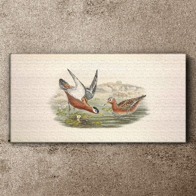 Schilderij op doek Vogels over het water