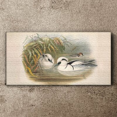 Canvas schilderij Een idyllisch duet tussen de grassen