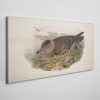 Schilderij op doek Een vogelnest in zijn natuurlijke omgeving