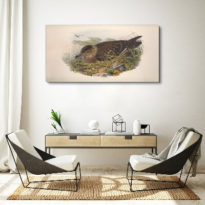 Schilderij op doek Een vogelnest in zijn natuurlijke omgeving