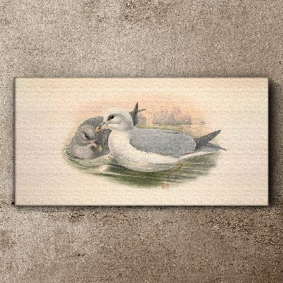 Foto op canvas Zeevogels in het kalme water