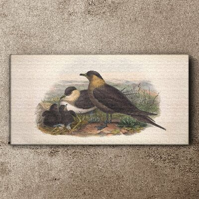 Schilderij op doek Een familie vogels op een nest