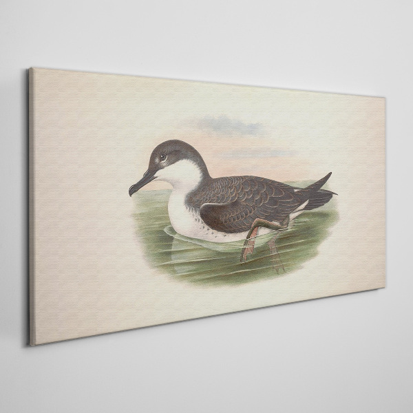 Foto op canvas Een vogel op een waterachtergrond