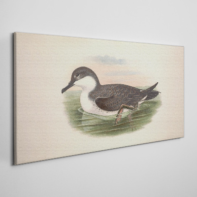 Foto op canvas Een vogel op een waterachtergrond