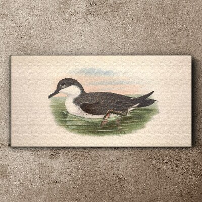 Foto op canvas Een vogel op een waterachtergrond