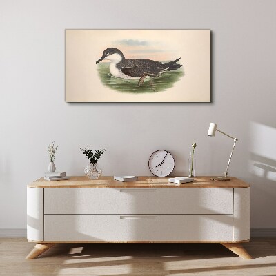 Foto op canvas Een vogel op een waterachtergrond