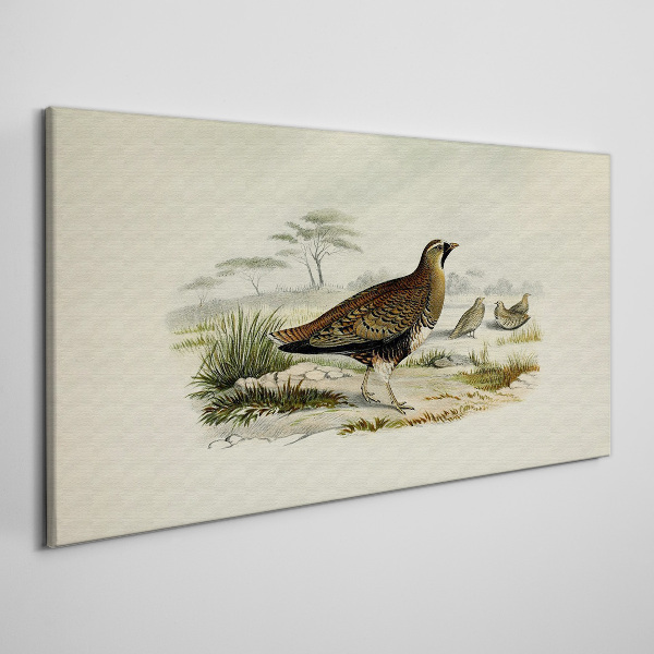 Schilderij op doek Vogels Wilde dieren