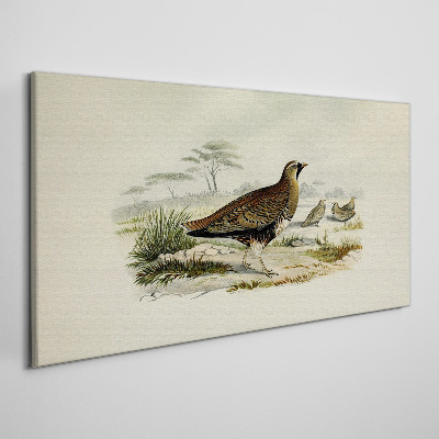 Schilderij op doek Vogels Wilde dieren