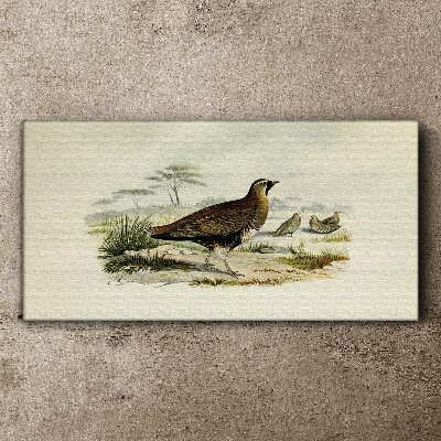 Schilderij op doek Vogels Wilde dieren