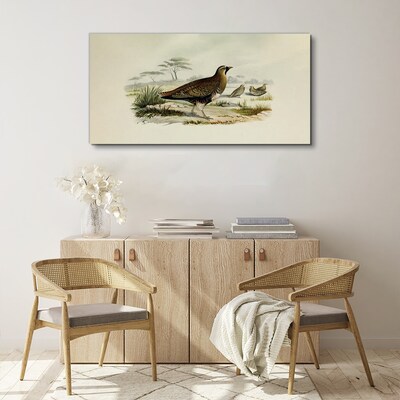 Schilderij op doek Vogels Wilde dieren