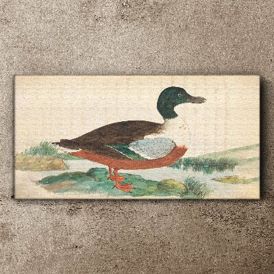 Canvas schilderij Een eend tegen een groene achtergrond