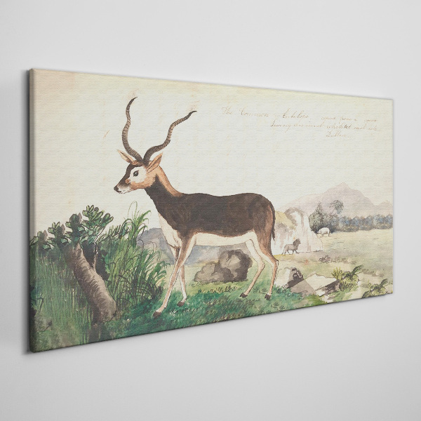 Canvas schilderij Antilope tegen het landschap
