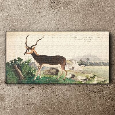 Canvas schilderij Antilope tegen het landschap