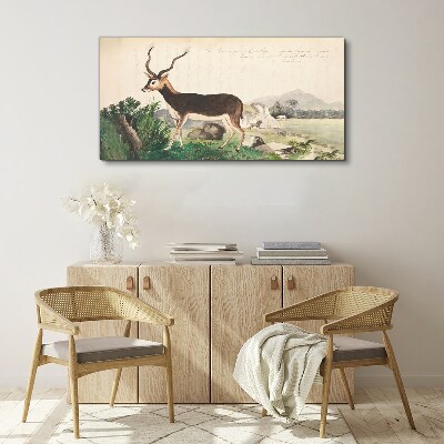 Canvas schilderij Antilope tegen het landschap