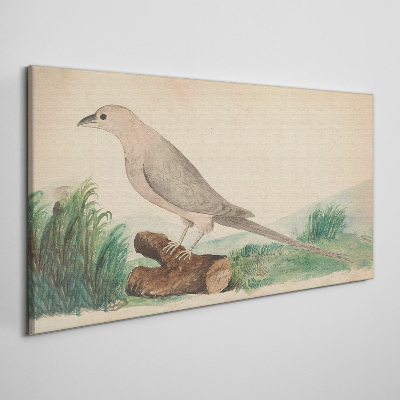 Foto op canvas Een vogel tegen de achtergrond van de natuur
