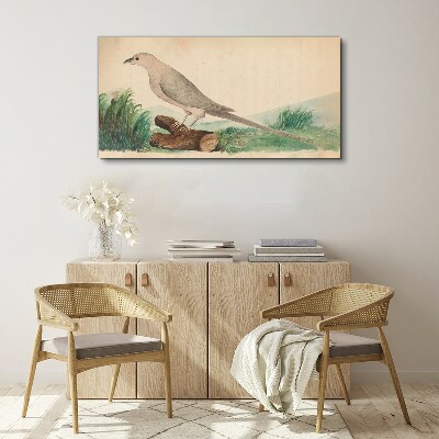 Foto op canvas Een vogel tegen de achtergrond van de natuur