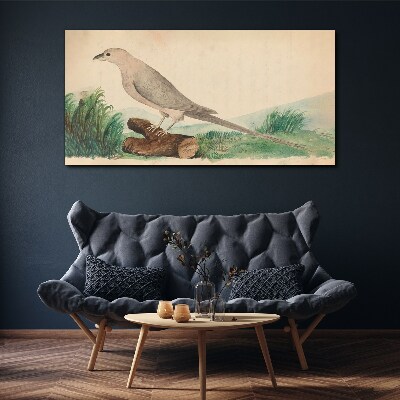 Foto op canvas Een vogel tegen de achtergrond van de natuur