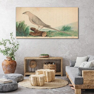 Foto op canvas Een vogel tegen de achtergrond van de natuur