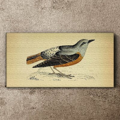 Canvas schilderij Een vogel in pasteltinten
