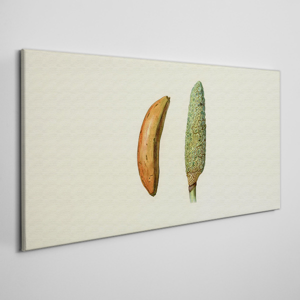 Foto op canvas Transformatie van de natuur