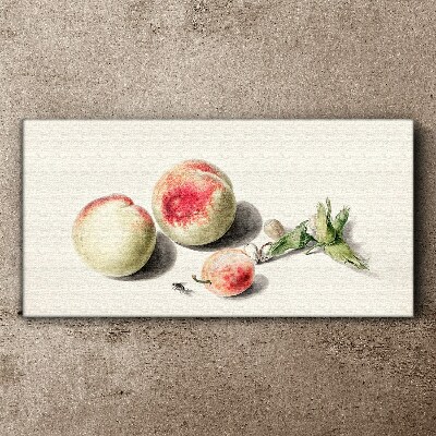 Schilderij op doek Sappige perziken op een lichte achtergrond