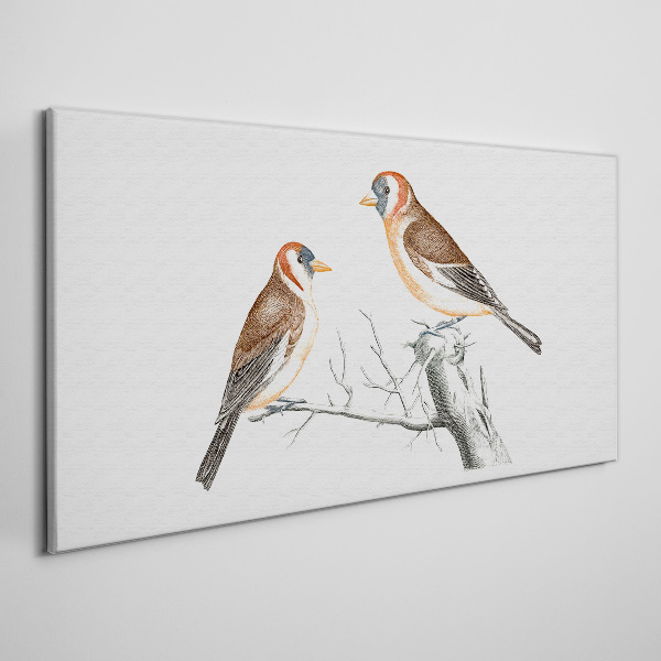 Foto op canvas Twee vogels op een tak