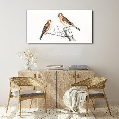 Foto op canvas Twee vogels op een tak