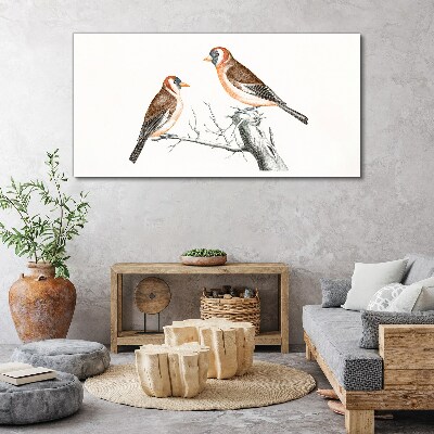 Foto op canvas Twee vogels op een tak