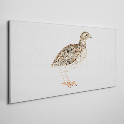 Foto op canvas Vogel op een witte achtergrond